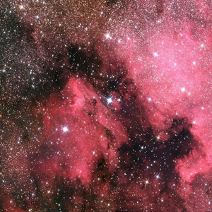 董卿的嫩苞又嫩又紧的视频
