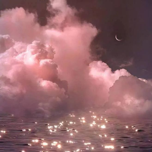 董卿的嫩苞又嫩又紧的视频
